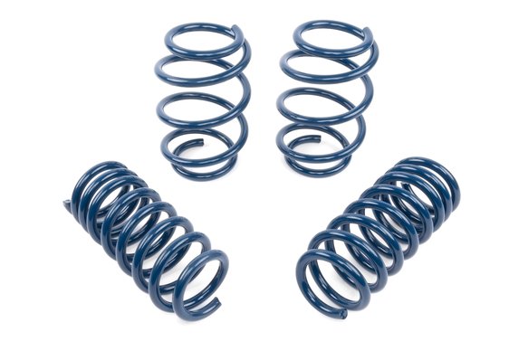 Dinan Performance Spring Set - 2018-2025 BMW X3 M40i / X4 M40i