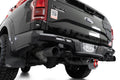 2017-2020 F-150 Raptor Phantom Rear Bumper