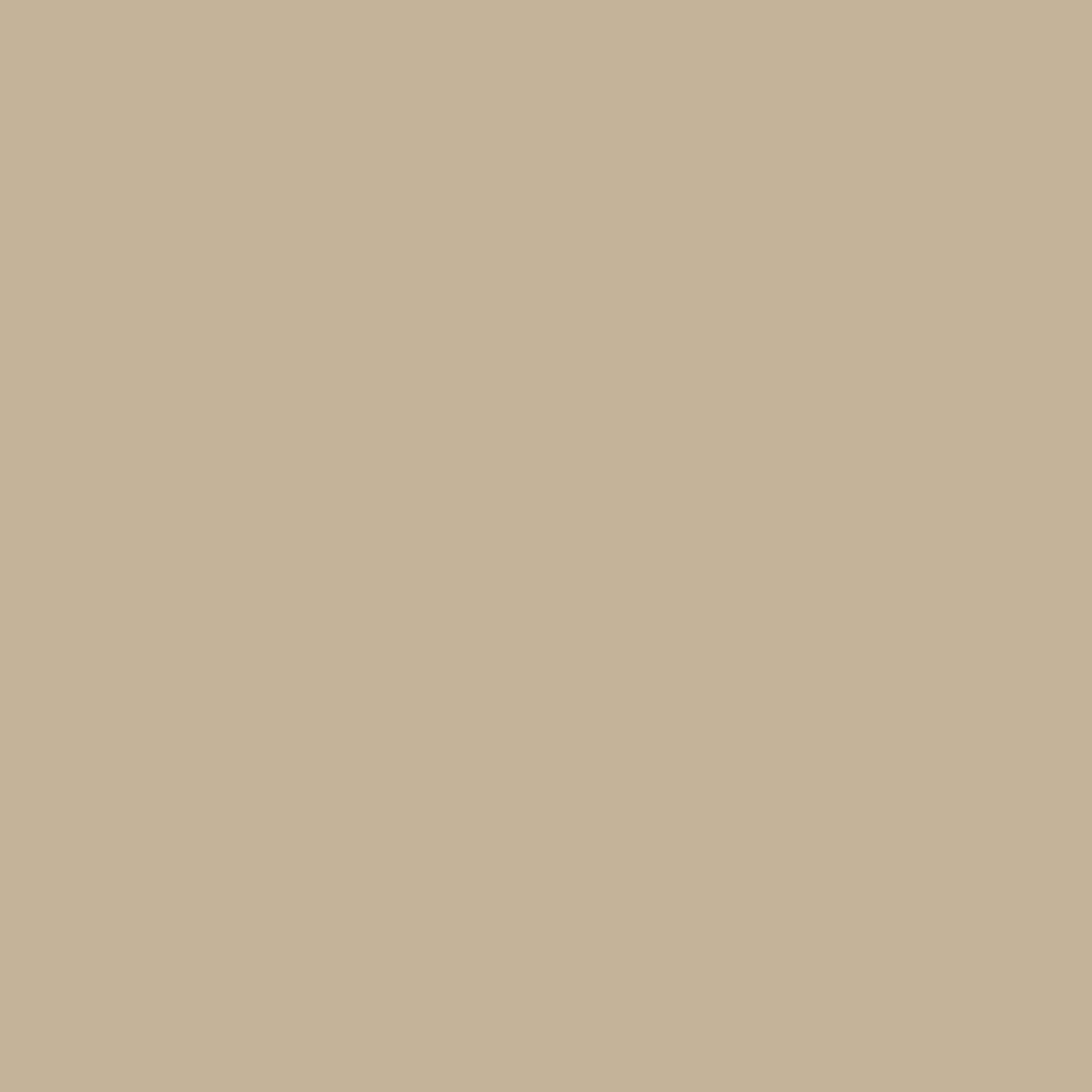 2016-23 Tacoma Tailgate Inserts