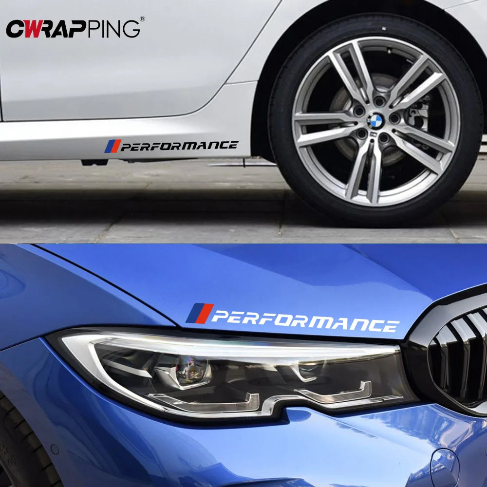 Performance Stripe Decal | Door & Front Visor Vinyl Graphic for Cars & Trucks