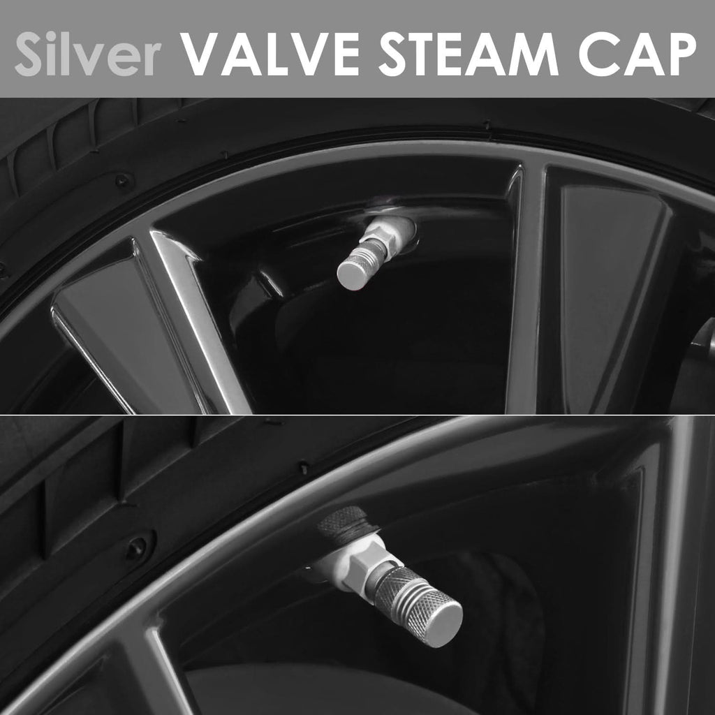 RT 024 Two Grip Top/Bottom Valve Caps - Silver