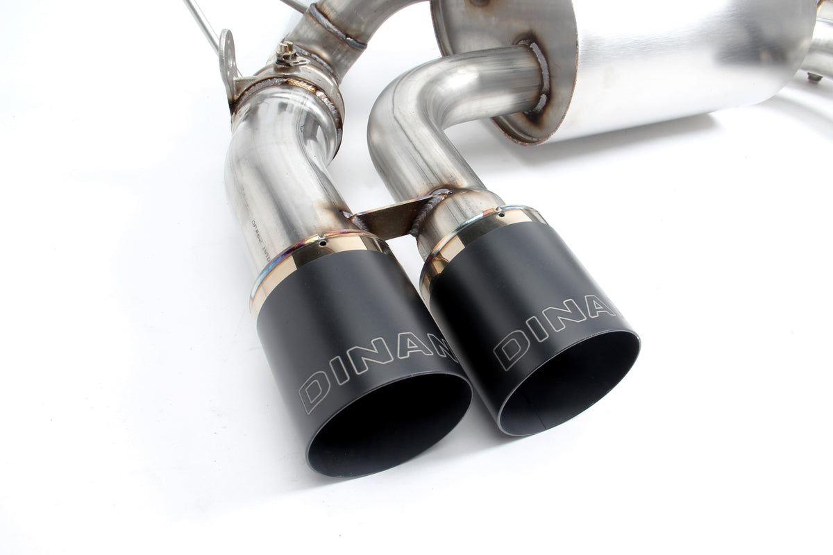 Stainless Steel - Polished Tips - F80/F82/F83