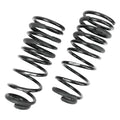 +1" Rear Springs
