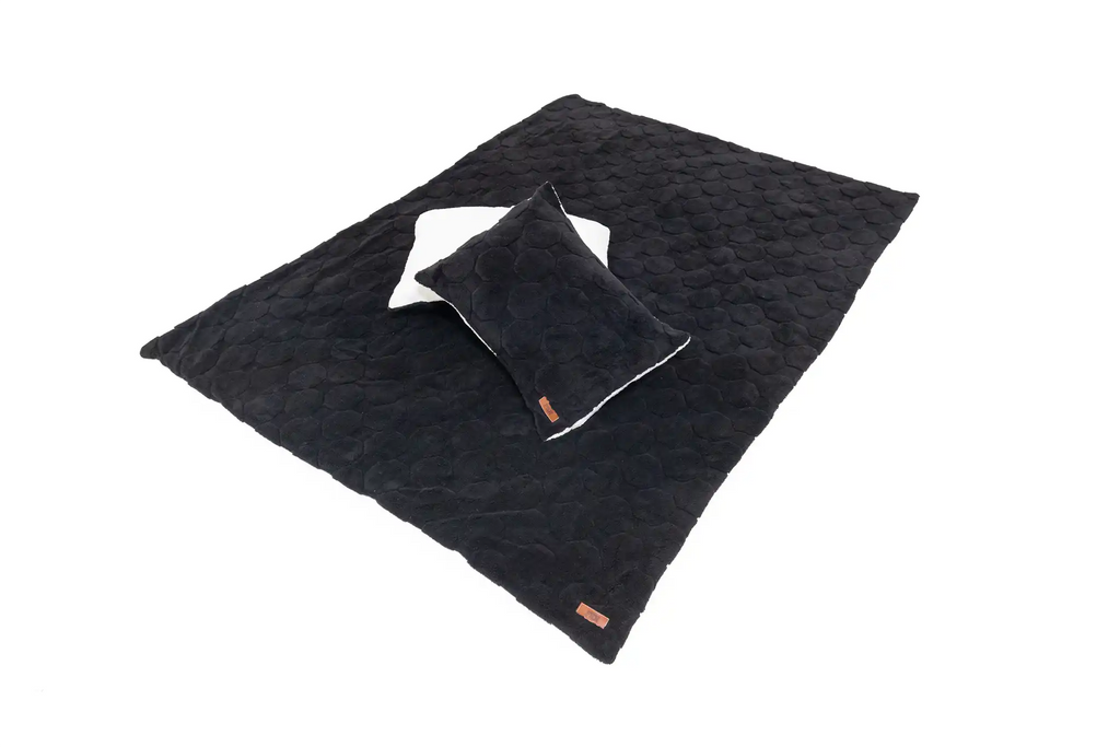 Free Spirit Recreation — Cloud Comforter & Pillow Case Set