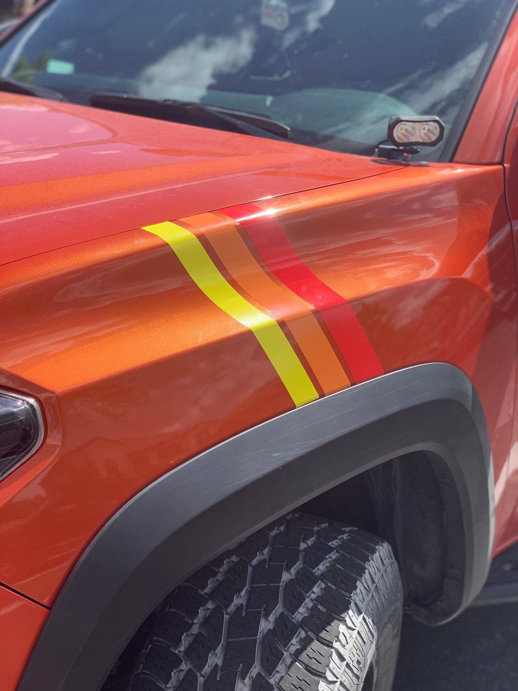 Medium Universal Stripes