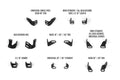 Light Mount Kit